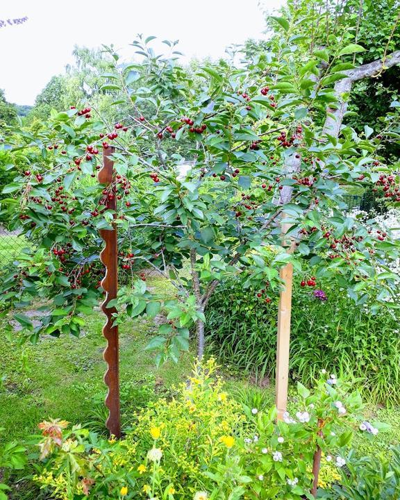 Gaststätte Kleingartenanlage Am Weinweg